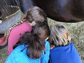 sich gegenseitig helfen